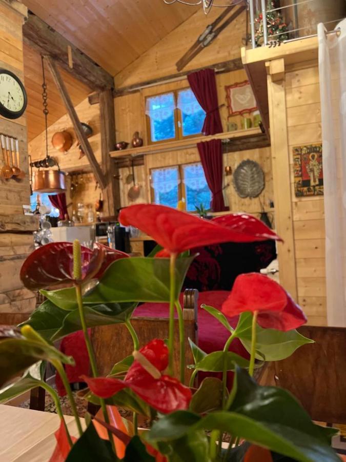 Chalet Ferme Savoyarde Renovee 2 Les Carroz d'Araches